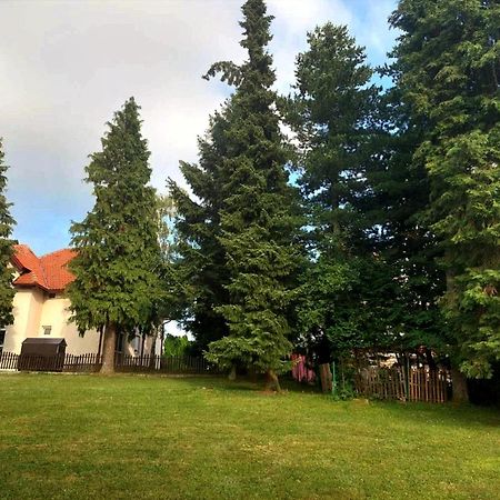 Kuca Za Odmor Zlatibor Villa Exterior photo