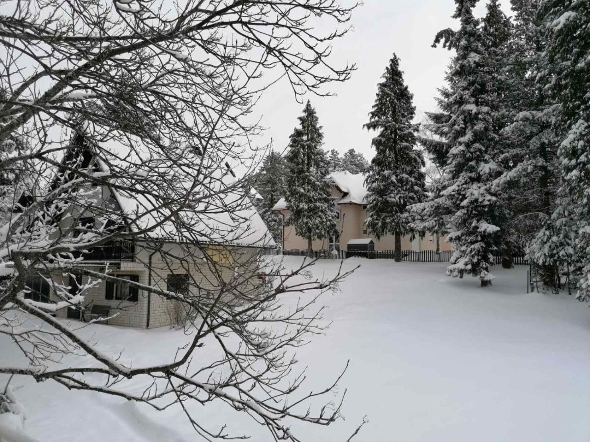 Kuca Za Odmor Zlatibor Villa Exterior photo